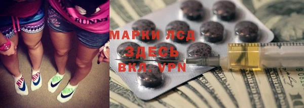 ГАЛЛЮЦИНОГЕННЫЕ ГРИБЫ Кукмор
