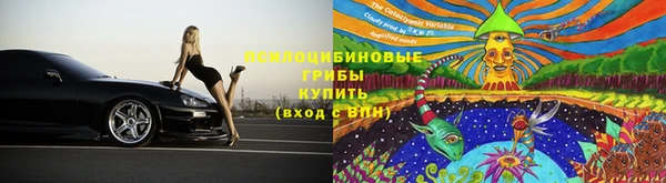 ГАЛЛЮЦИНОГЕННЫЕ ГРИБЫ Кукмор