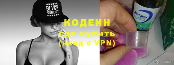 ГАЛЛЮЦИНОГЕННЫЕ ГРИБЫ Кукмор