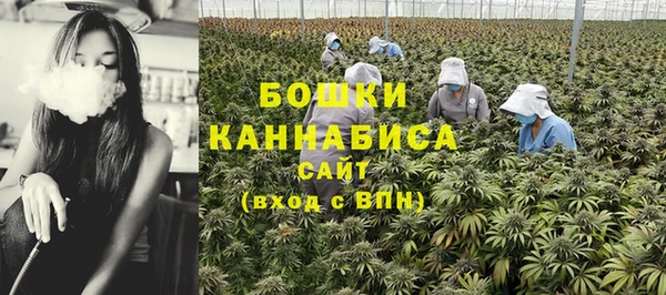 ГАЛЛЮЦИНОГЕННЫЕ ГРИБЫ Кукмор