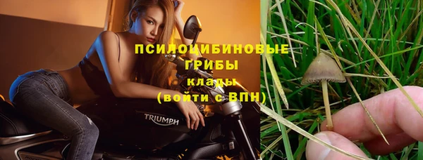 ГАЛЛЮЦИНОГЕННЫЕ ГРИБЫ Кукмор