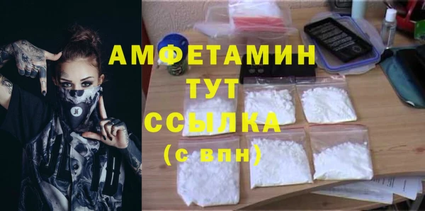 ГАЛЛЮЦИНОГЕННЫЕ ГРИБЫ Кукмор