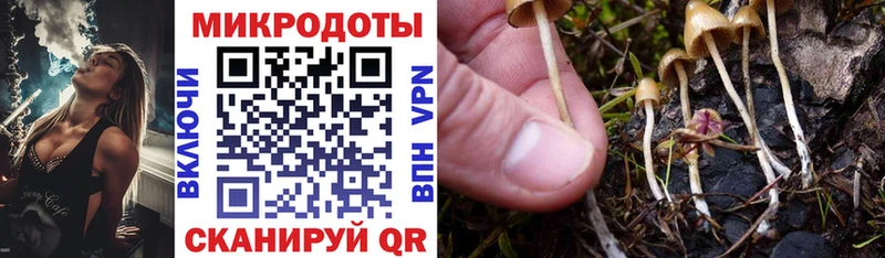 Купить закладки  Магнитогорск  Галлюциногенные грибы мицелий 